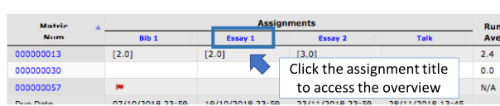 A screenshot of the coursework overview with assignment title highighted